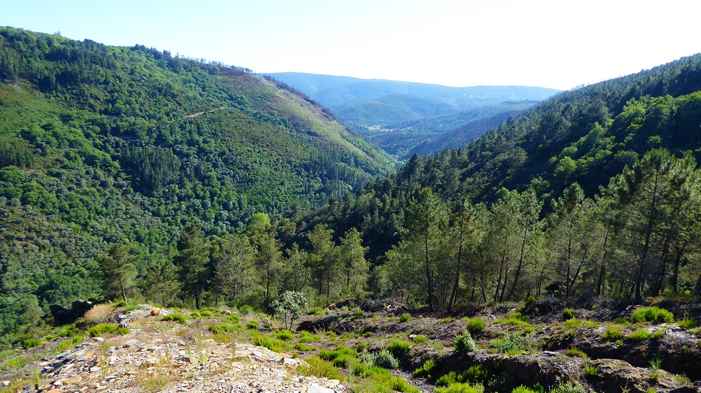 Miradores de Pobra do Brollón